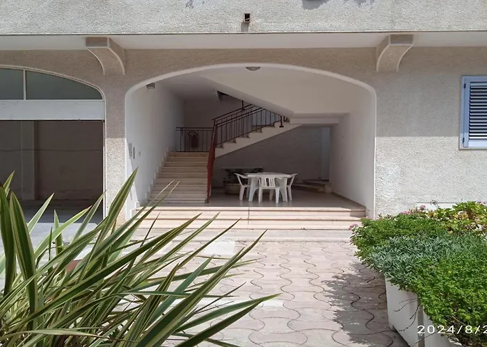 Odegos 托里德欧索